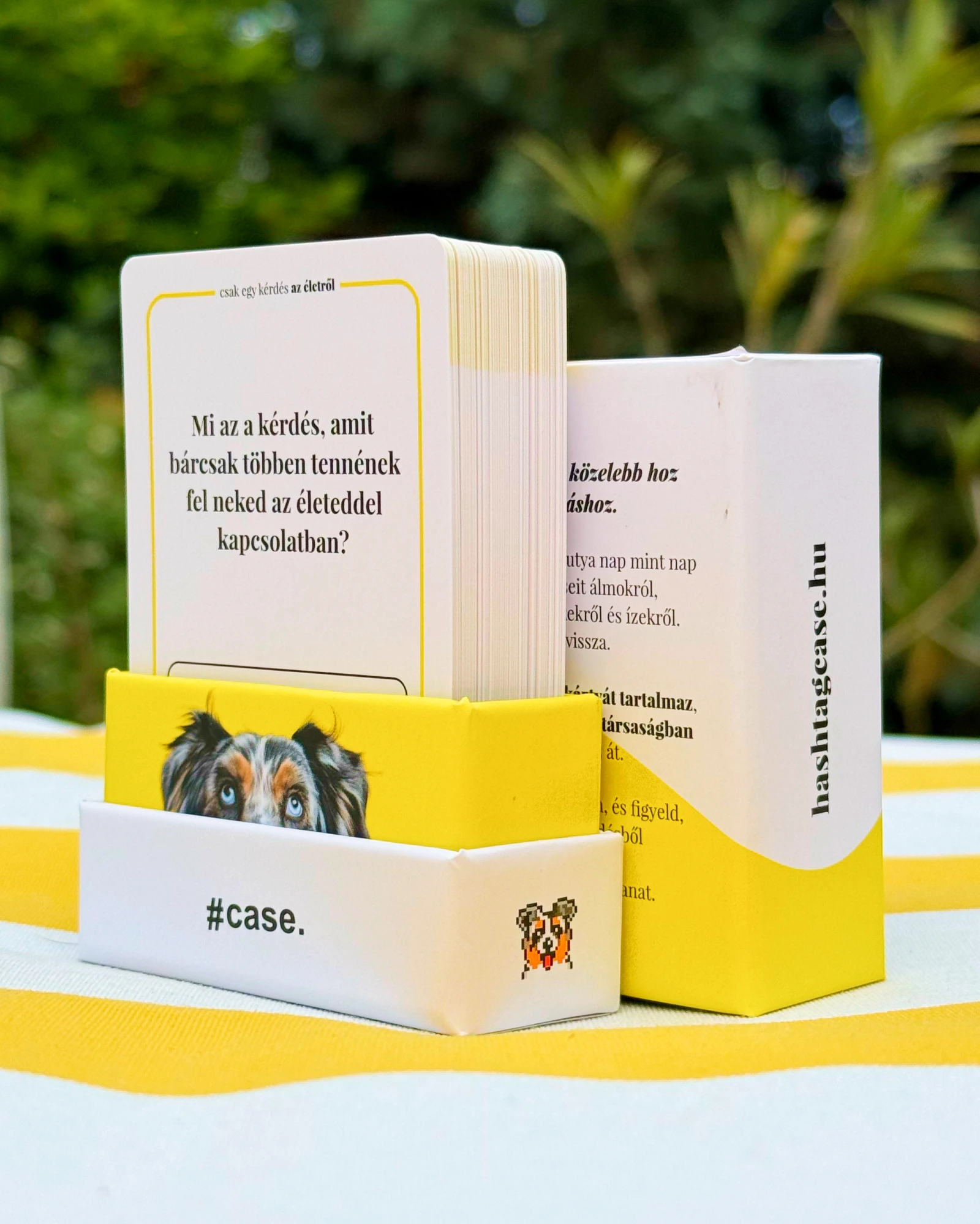 Csak egy kérdés, beszélgetésindító kártyajáték Pixellel, a kék szemű ausztrál juhásszal